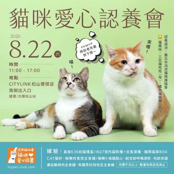 115/8/22(六)11:00-17:00貓咪認養會in CITYLINK 松山壹號店 南側出入口(室內) (台鐵松山車站\捷運松山站 1樓)