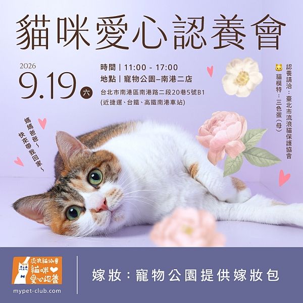 115/9/19(六)11:00-17:00貓咪認養會in寵物公園–南港二店(室內)