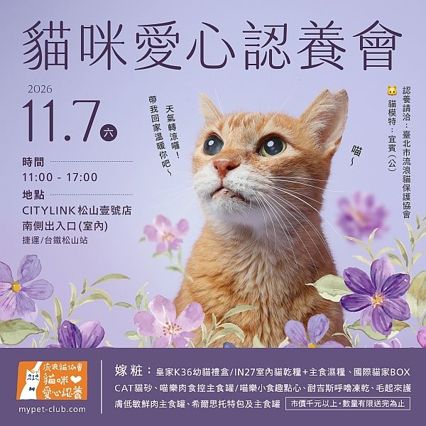 115/11/7(六)11:00-17:00貓咪認養會in CITYLINK 松山壹號店 1樓南出口(室內)